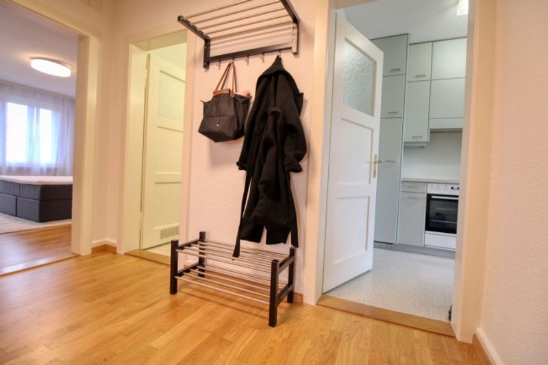 Your Stylish Coliving in Zürich's Vibrant Höngg District - 12