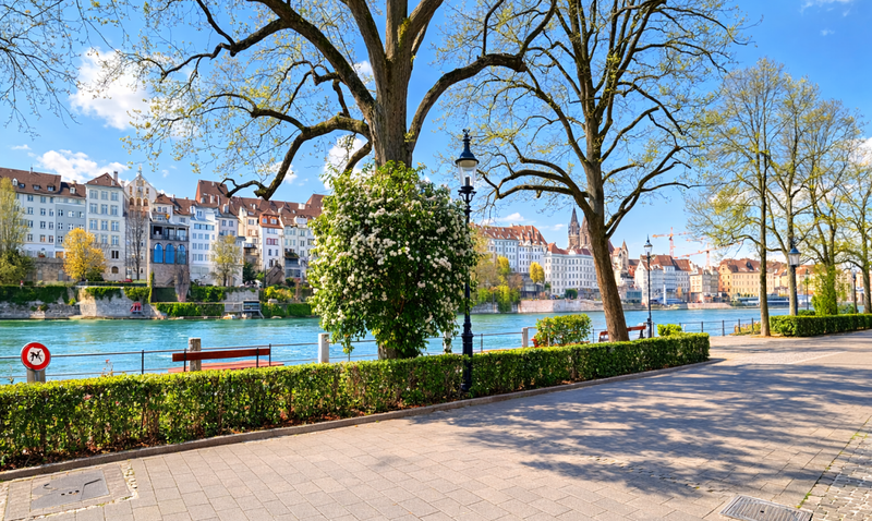 Wohnen am Rhein mit einzigartigem Blick aufs Basler Münster - 3