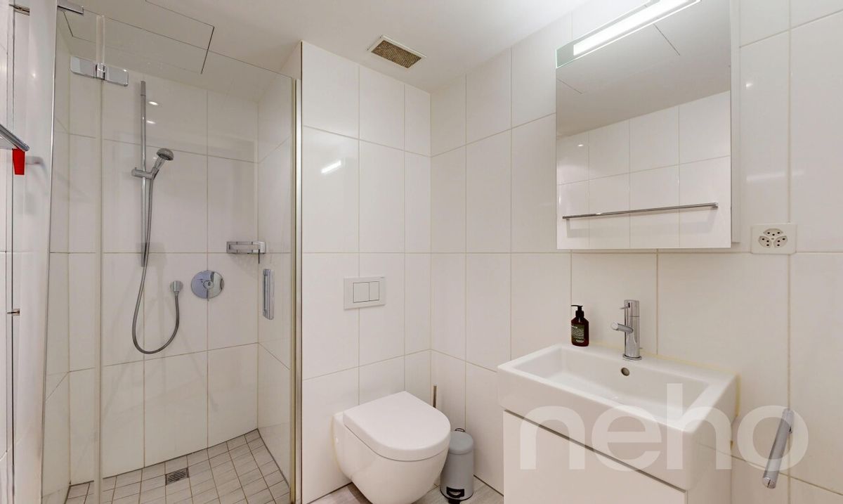 3 Minuten zum HB. Grosszügige Maisonette mit 2 Balkonen - 9