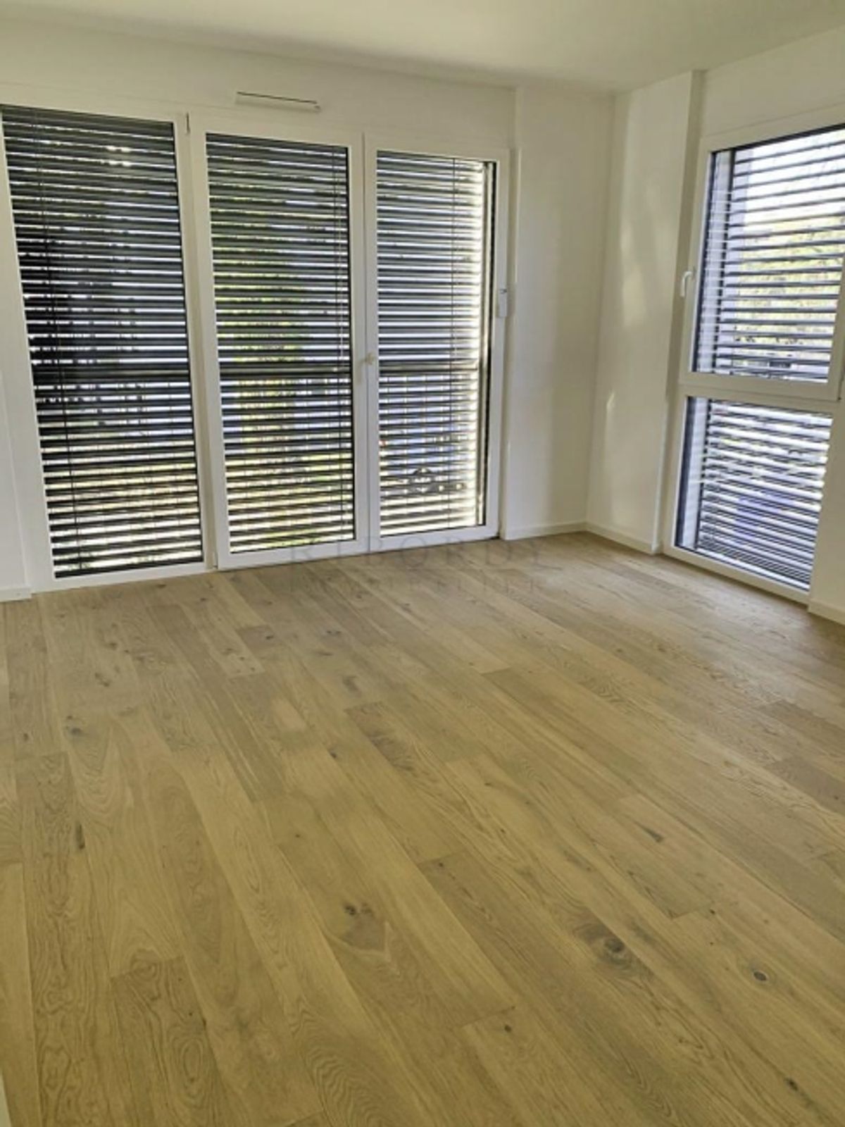 Plateau de Pinchat, ein atemberaubendes, zeitgenössisches Stadthaus an einer idealen Lage - 2
