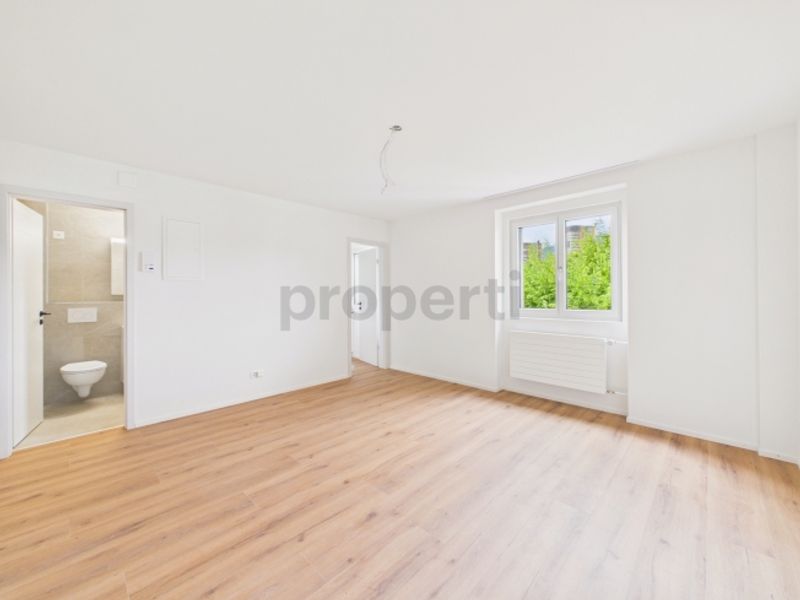 Erstbezug nach Renovation  Moderne 1.5-Zimmer-Wohnung mit Pilatusblick - 4