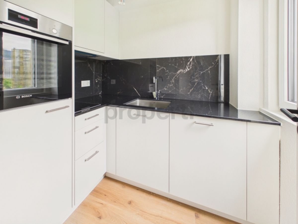 Erstbezug nach Renovation  Moderne 1.5-Zimmer-Wohnung mit Pilatusblick - 4