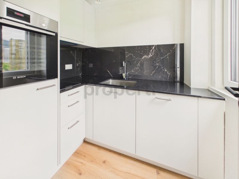 Erstbezug nach Renovation  Moderne 1.5-Zimmer-Wohnung mit Pilatusblick - 5