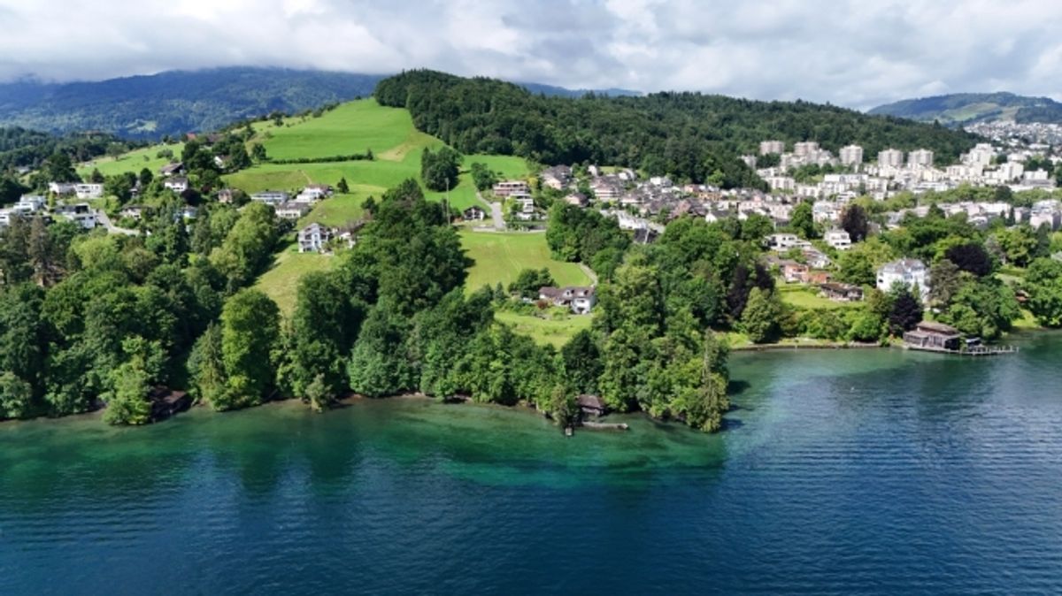 Exklusive Villa mit Pool in Luzern - 0