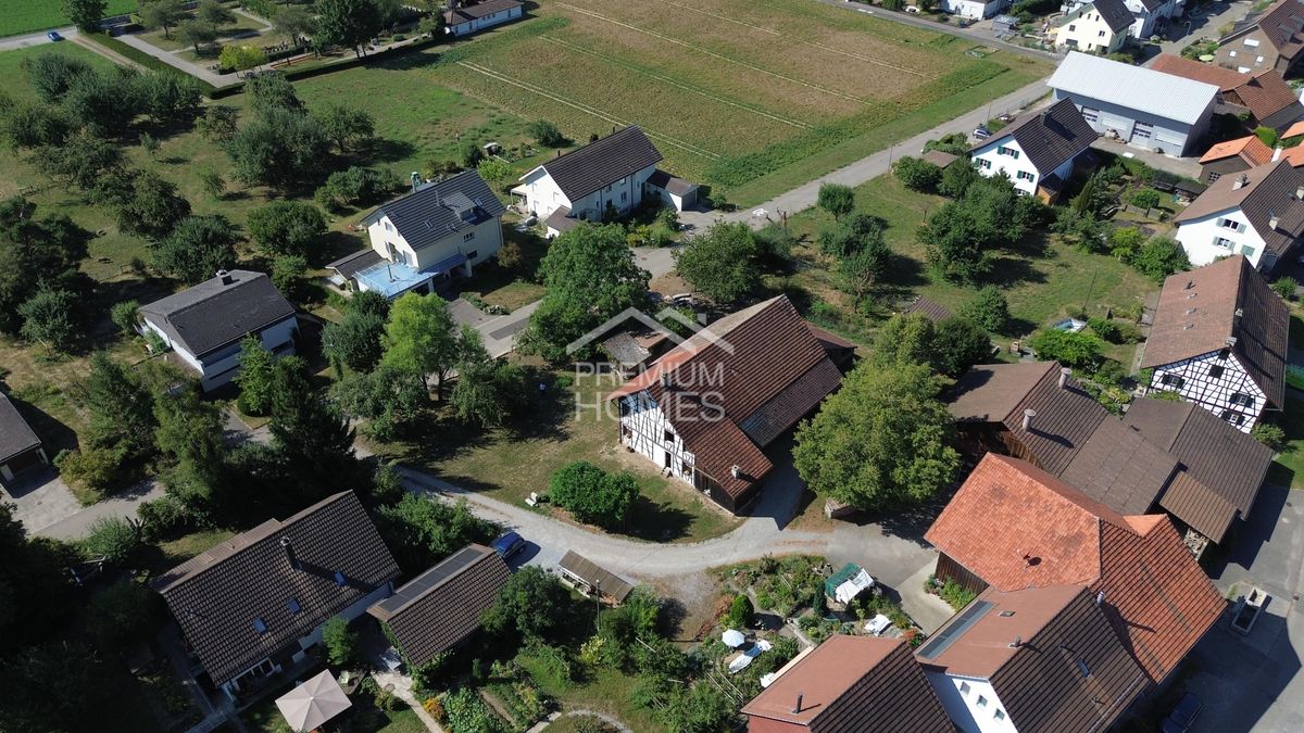 Wohnoase im Grünen - und doch zentral - 1