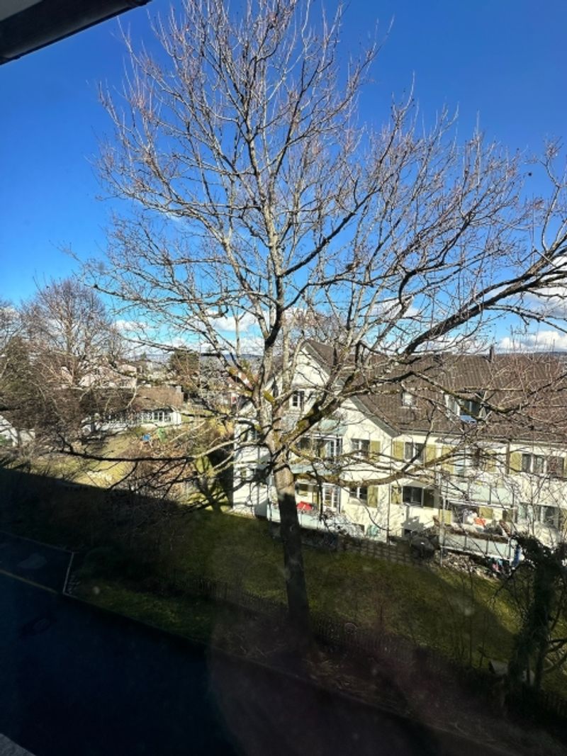 4½ ZI-WOHNUNG IN THALWIL (ZH), MÖBLIERT, TEMPORÄR - 7
