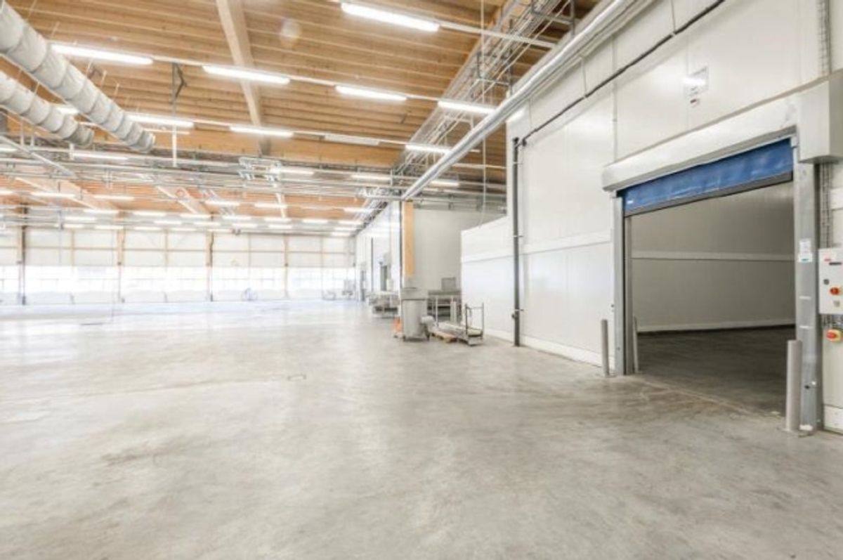 Top Industriehalle mit LKW-Rampen & Büroflächen in Kleindöttingen - 5