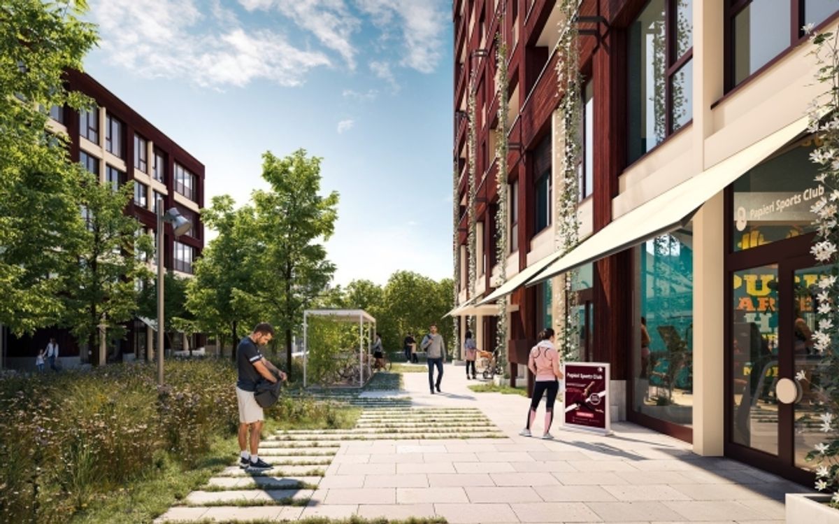 Next Level Spaces - Vollausgebaute Verkaufsfläche auf dem Papieri-Areal in Cham - 4