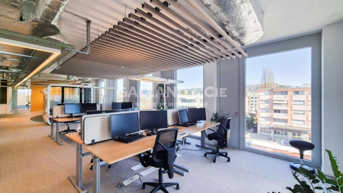 Moderne Bürofläche von 285 m² – 28 Arbeitsplätze ausgestattet - 1