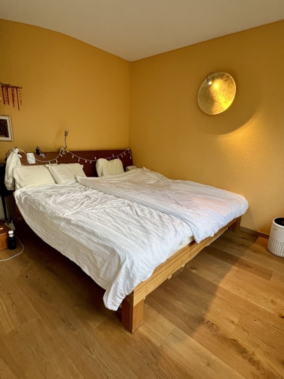 4 ZIMMER-HAUS IN THERWIL (BL), MÖBLIERT, TEMPORÄR - 3