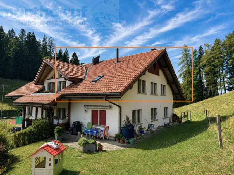 Gemütliche und charaktervolle 3.5- Zimmer Dachwohnung mit Galerie - 1