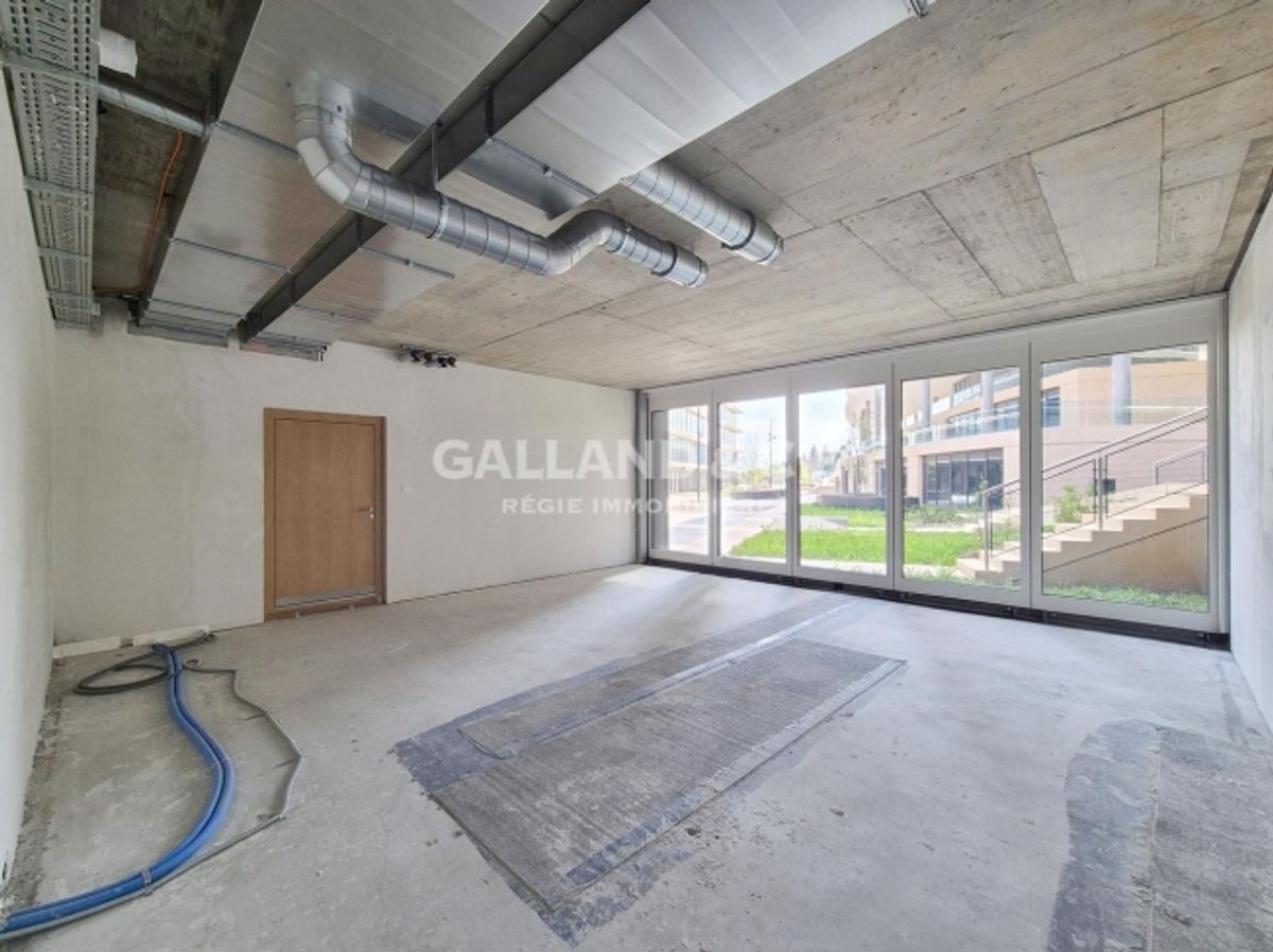61m2 Handelsgeschäft - 0
