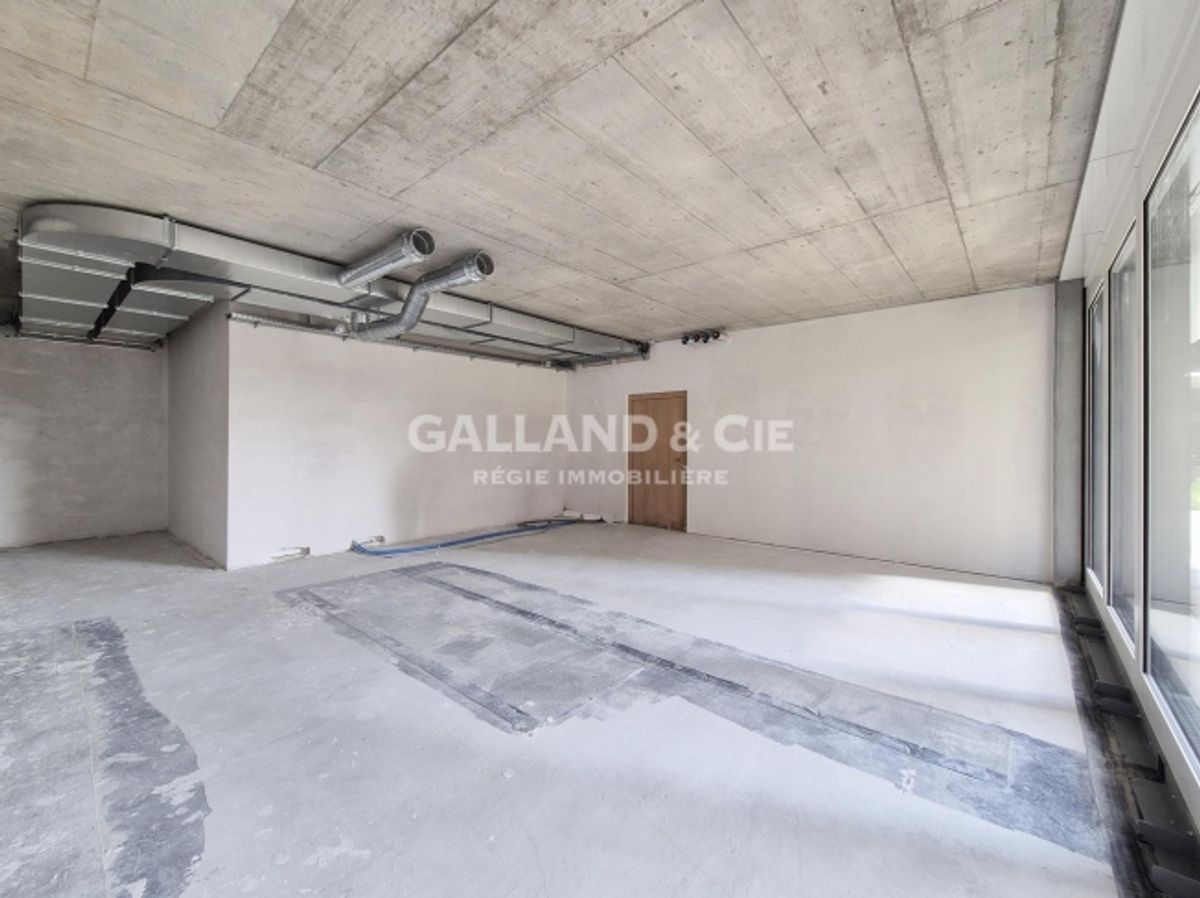 61m2 Handelsgeschäft - 1