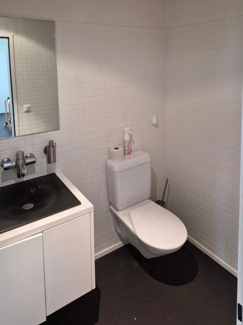 Gewerbefläche im Herzen von Horgen - 10
