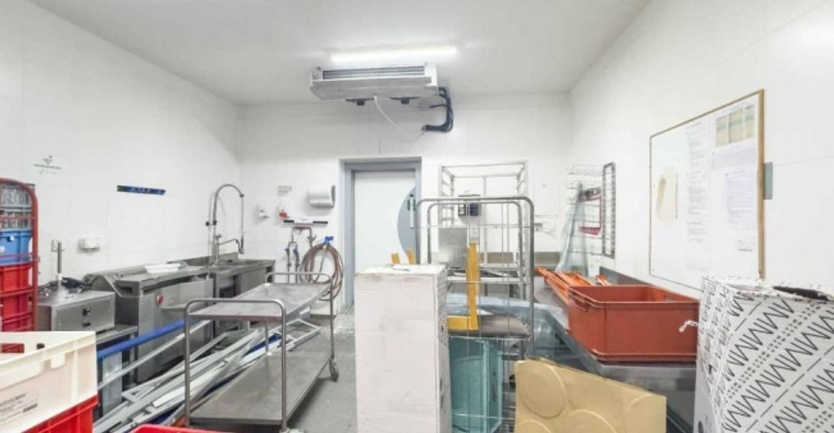 Atelier - logistique avec grande hauteur et mezzanine – Meyrin - 7