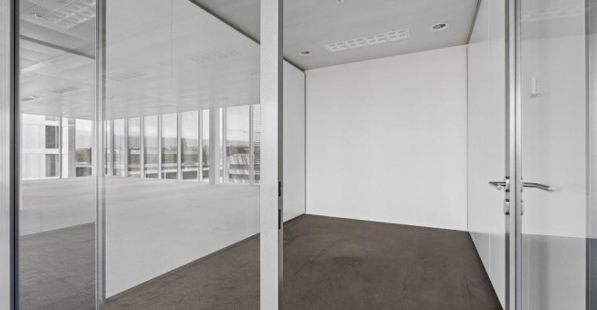 Un espace moderne de 450 m² au coeur de Plan-les-Ouates - 5