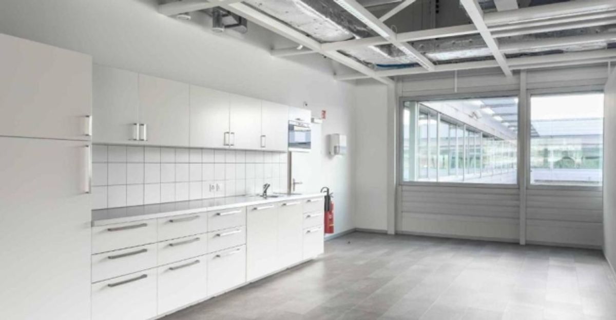 Vernier - Surface de 1380 m2 en attique - Immeuble IKEA - 7
