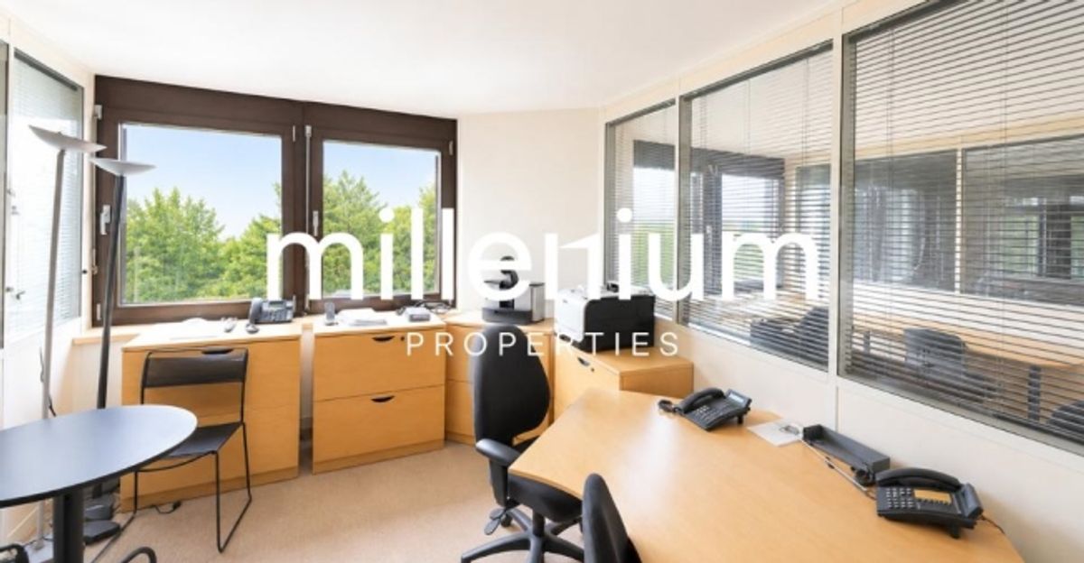 Business center – Espaces de bureaux premium face au lac - 4