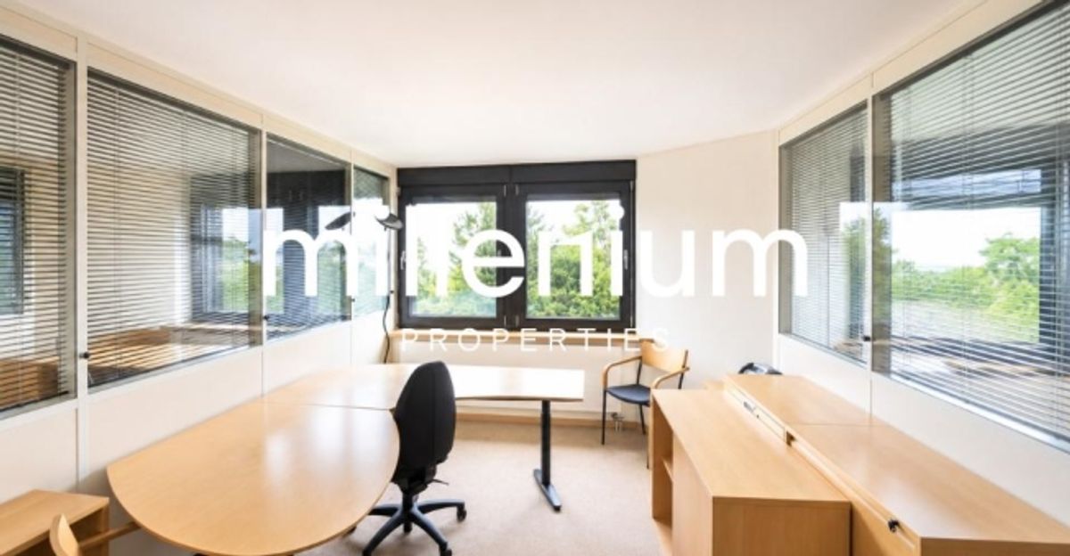 Business center – Espaces de bureaux premium face au lac - 5