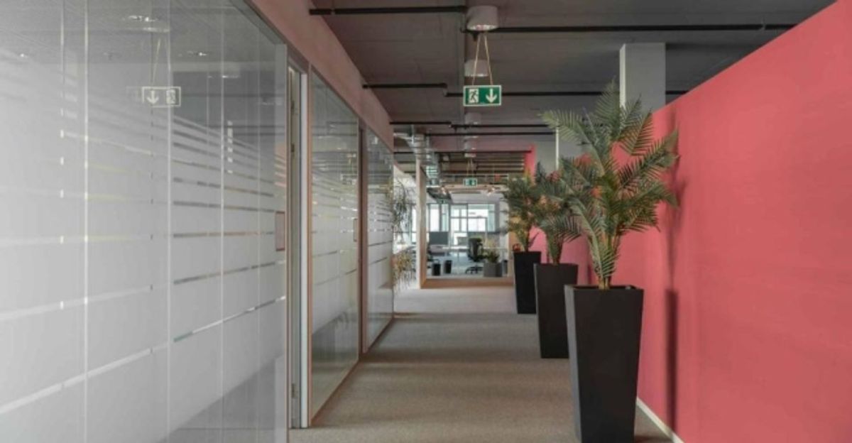 Magnifiques surfaces de bureaux - 4