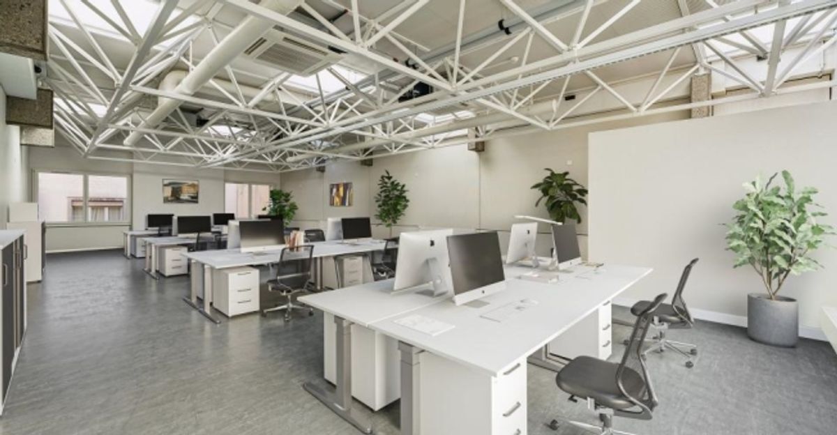 Magnifiques bureaux de 247 m2 à la Rue du port 4 - 3