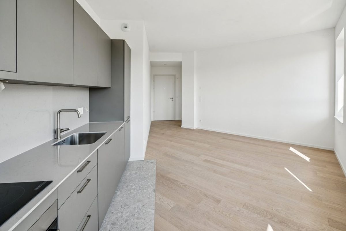 Nouvel immeuble résidentiel dans un quartier prisé de Genève ! - 2
