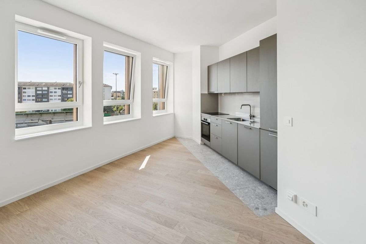 Nouvel immeuble résidentiel dans un quartier prisé de Genève ! - 4