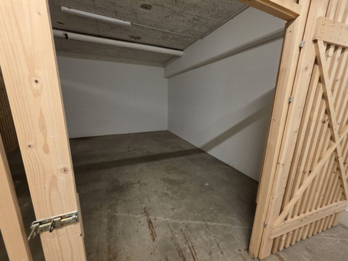 Grosser Keller-/Lagerraum per sofort zu vermieten - 2