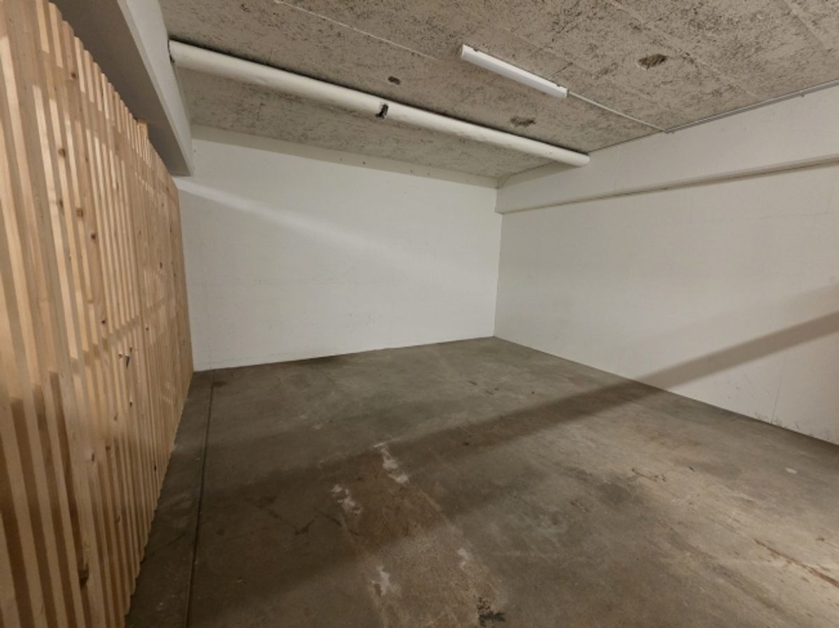 Grosser Keller-/Lagerraum per sofort zu vermieten - 5