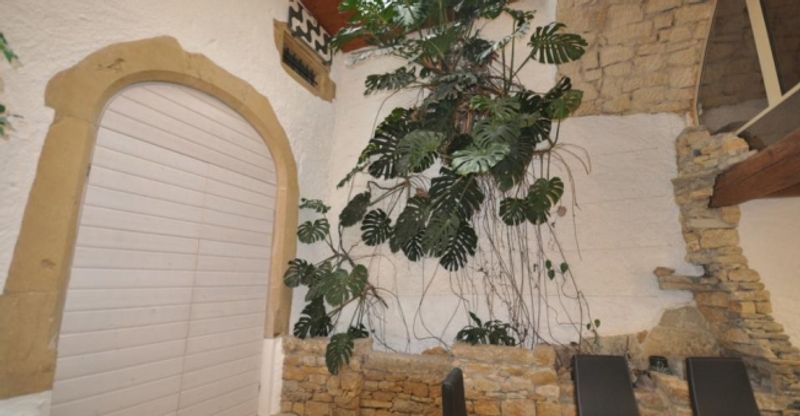 Bureaux au Château de Peseux - 7