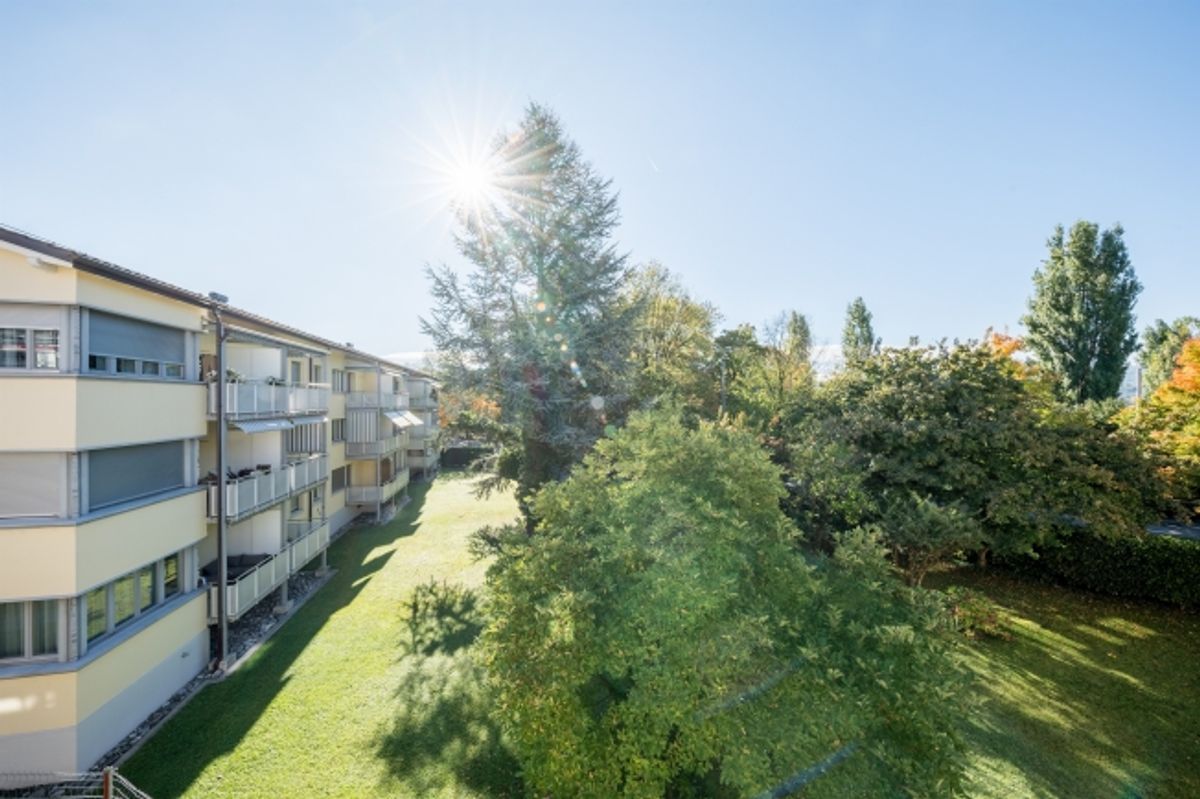 Vis à vis vom Zürisee - Ab in das kühle Nass! - 1