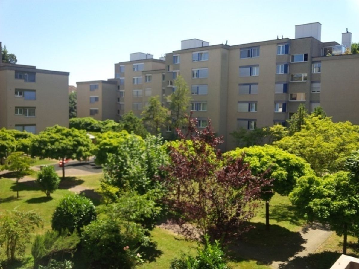Gemütliche 2-Zimmer-Wohnung in Zürich-Altstetten (Befristung bis 30.09.2027) - 3