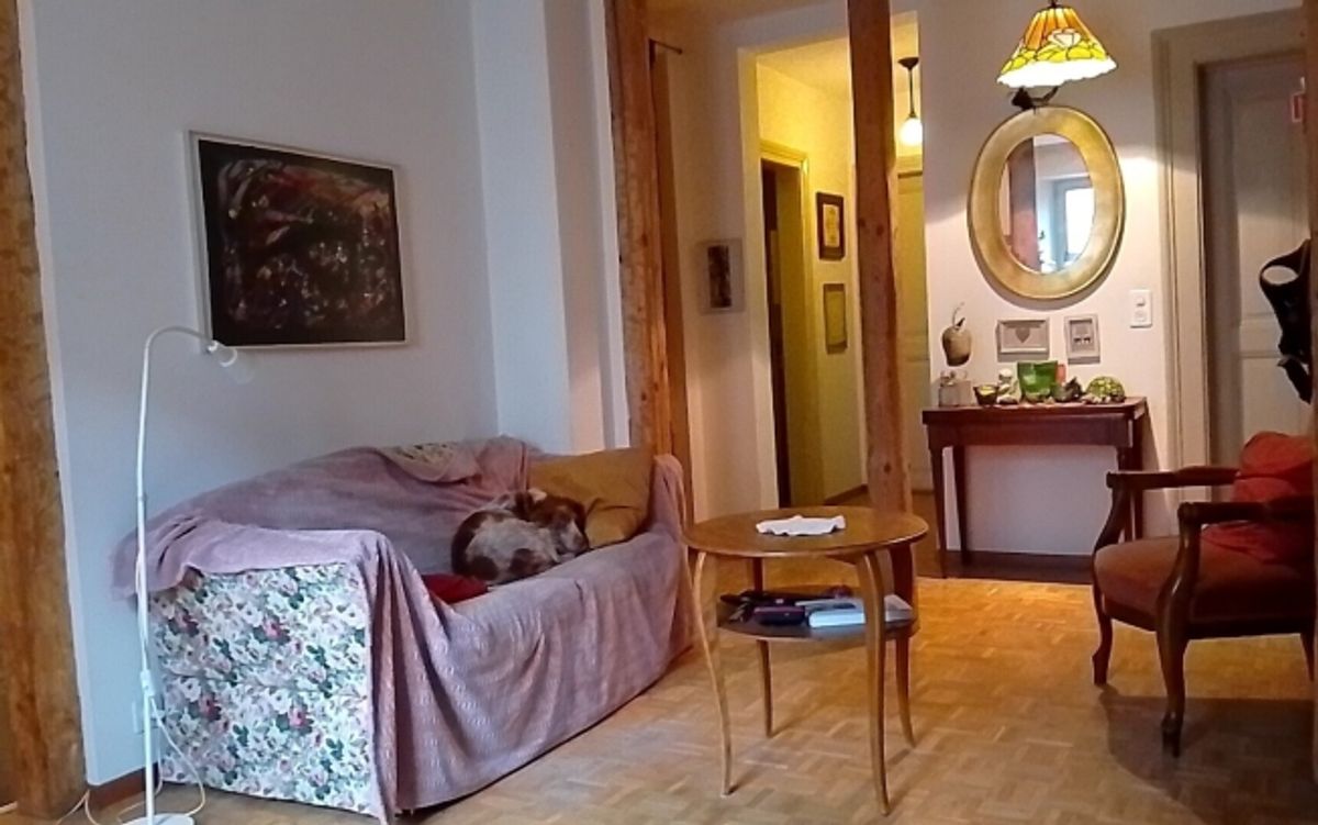 3½ ZI-WOHNUNG IN BERN - MATTENHOF, MÖBLIERT, TEMPORÄR - 8