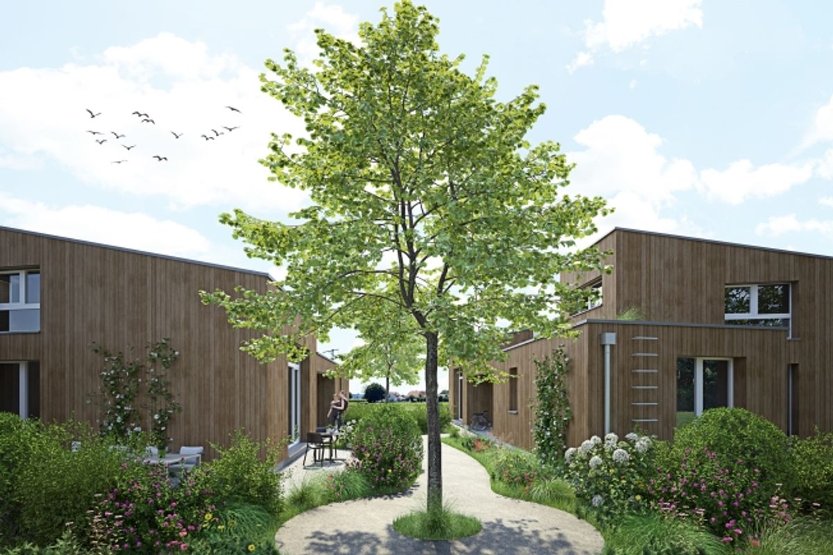 Moderne Architektur trifft ländliches Wohnen - 1