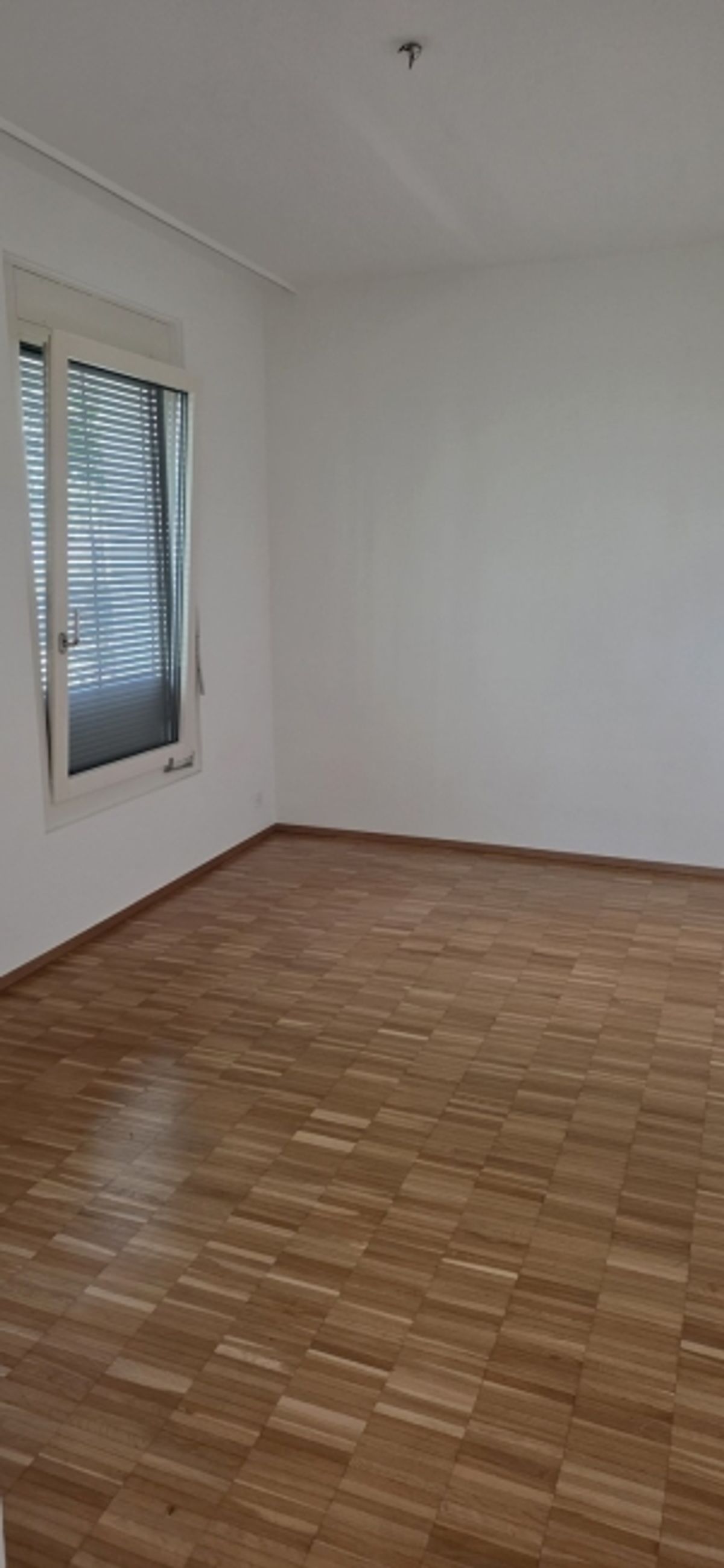 2 Zimmerwohnung EG - befristet bis 30.09.2027 - 5