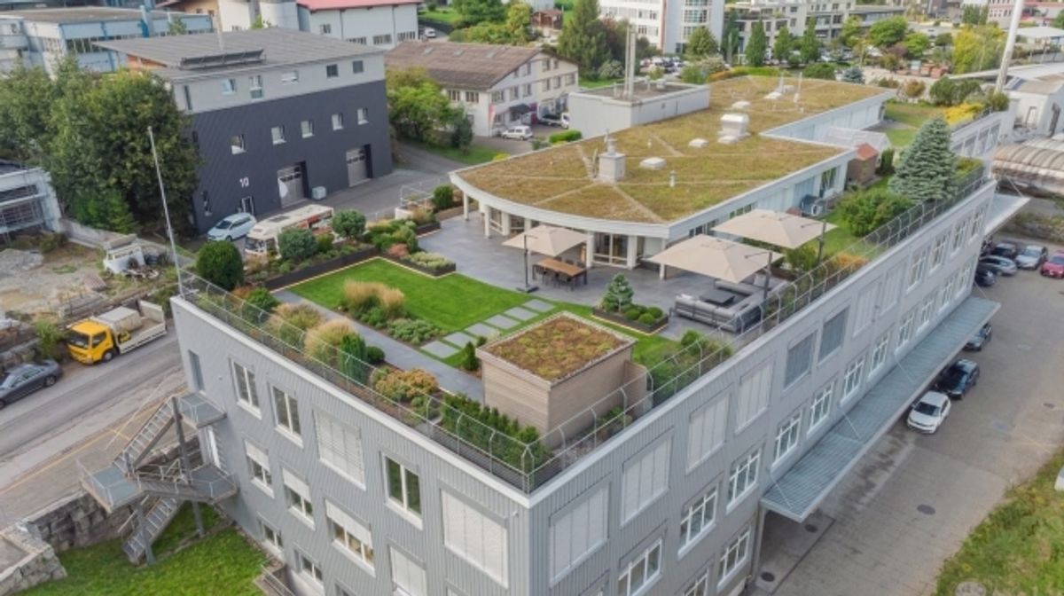 5.5 Zimmer Attikawohnung mit 550 m² Gartenterrasse, ein Traum - 6