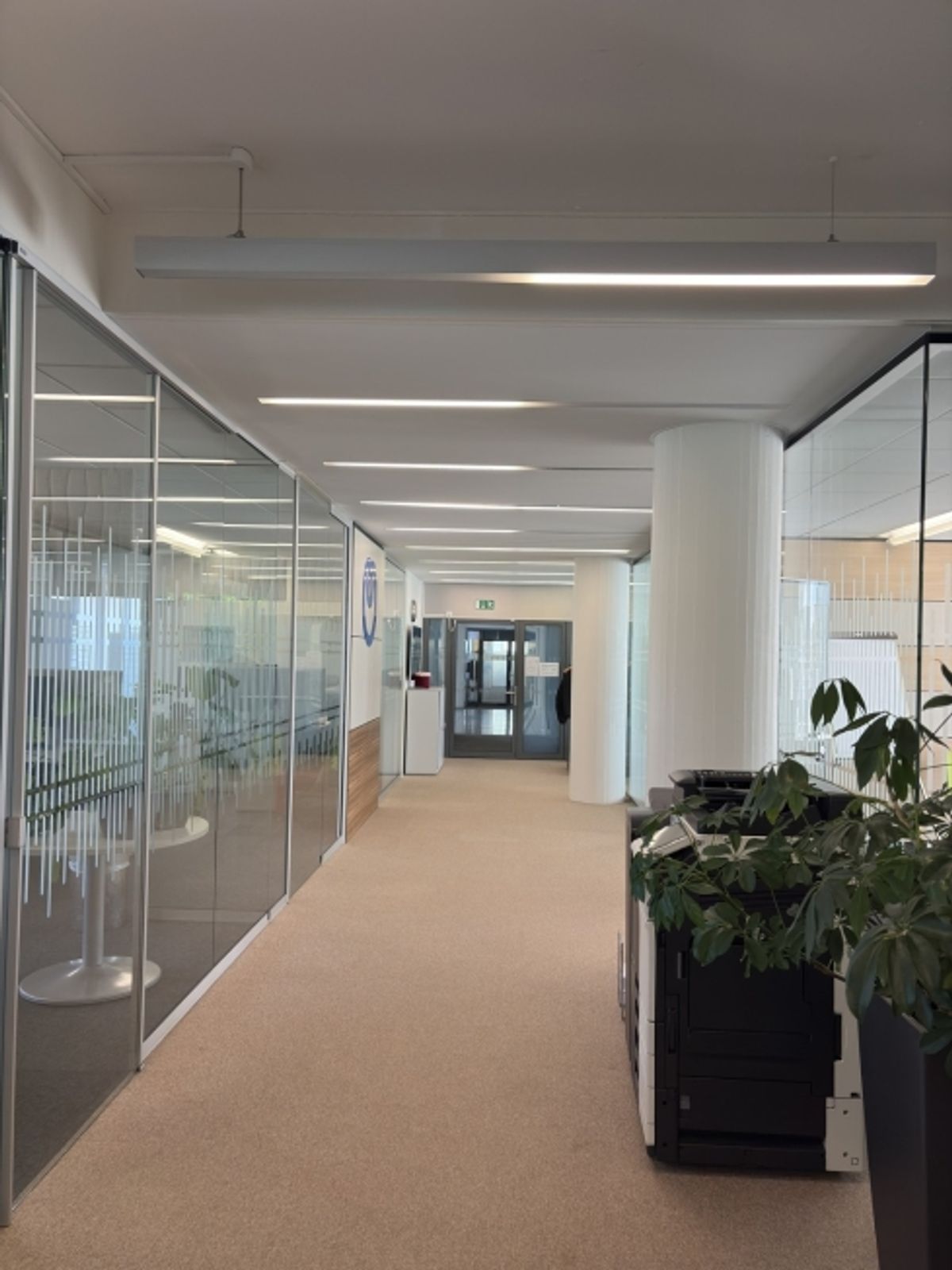 Attraktive, ausgebaute Bürofläche an zentraler Lage in Wallisellen - 0