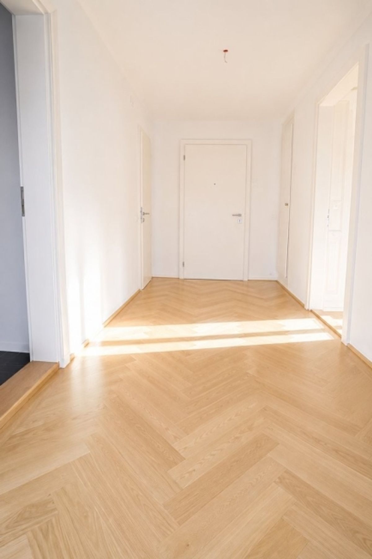 Mittendrin und trotzdem ruhig - Ihr neues Zuhause im Herzen von Zürich - 1