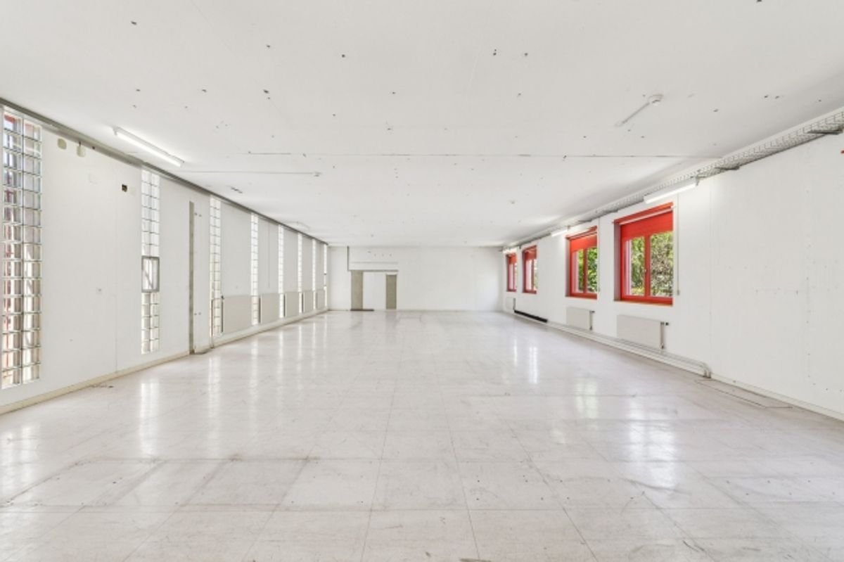 266 m² für Ihre Ideen, Ihr Team und Ihr Wachstum in Laufen - 3