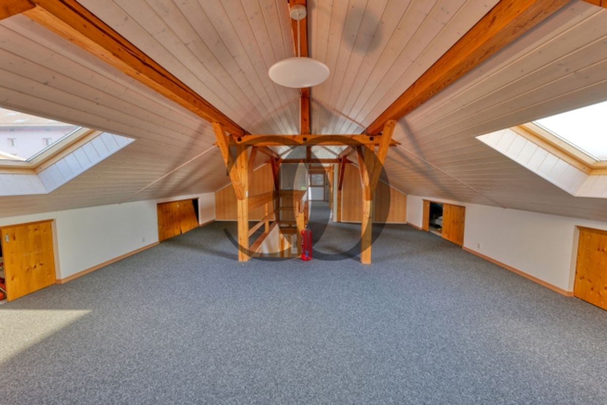 Gemischtes Gewerbeobjekt zu mieten in Vaulruz - 4