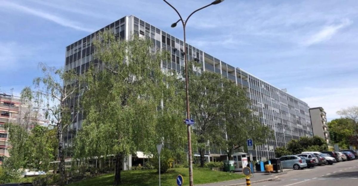 Bureaux dans le quartier Malagnou-Florissant - 0