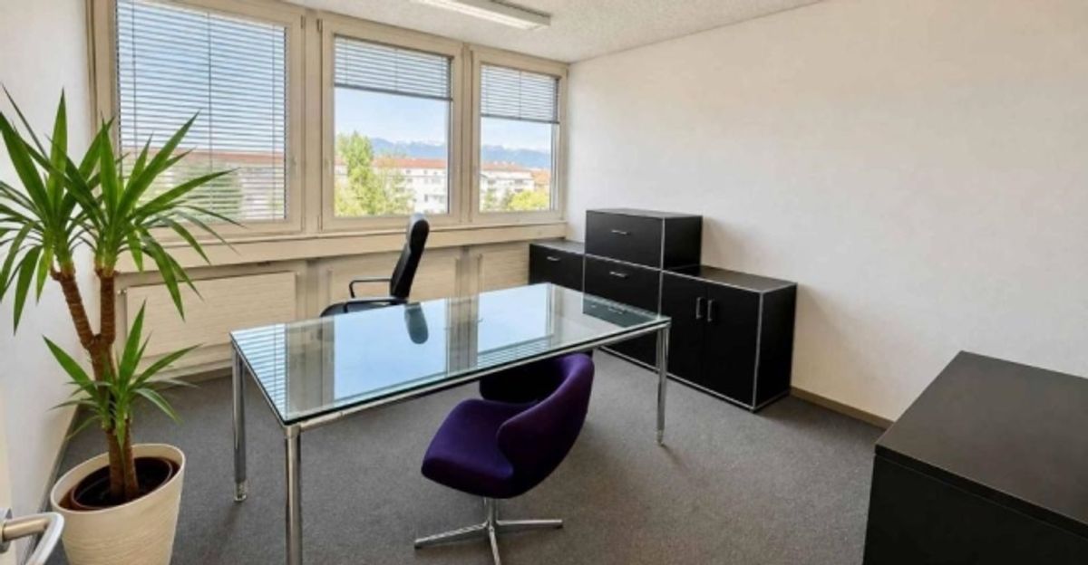 Bureaux dans le quartier Malagnou-Florissant - 5