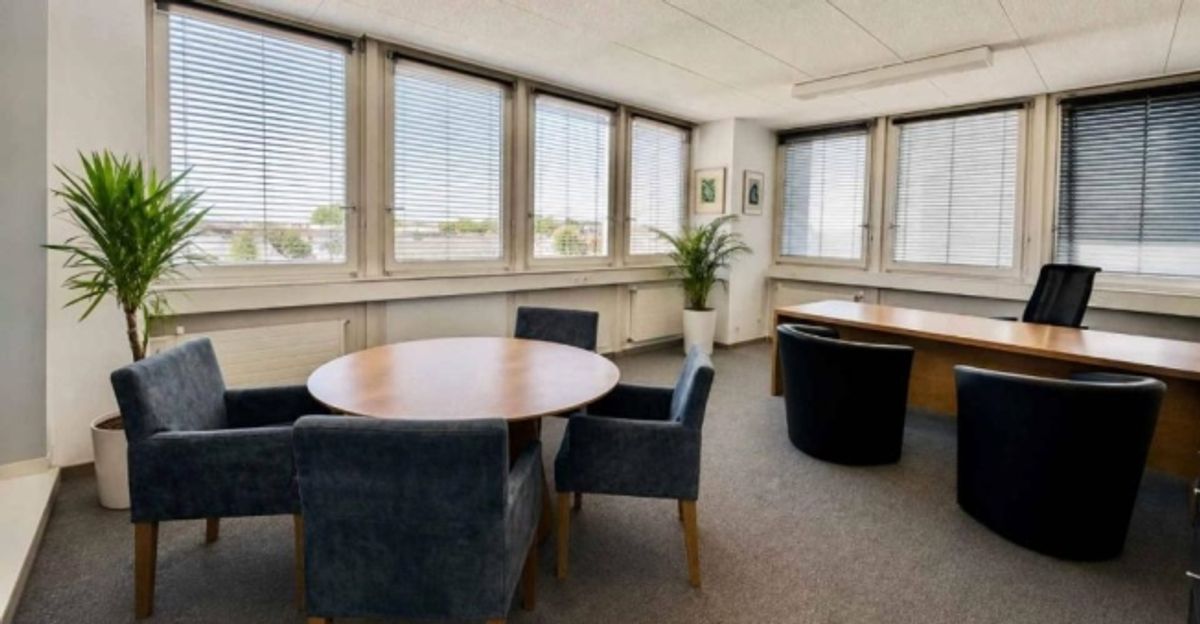 Bureaux dans le quartier Malagnou-Florissant - 6