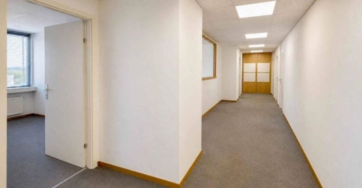 Bureaux dans le quartier Malagnou-Florissant - 8