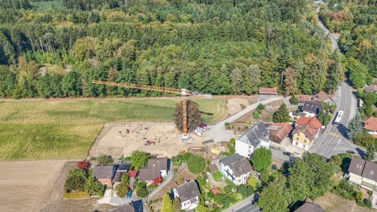 Wohnen auf einer Ebene - Modernes Einfamilienhaus mit Terrasse - 4
