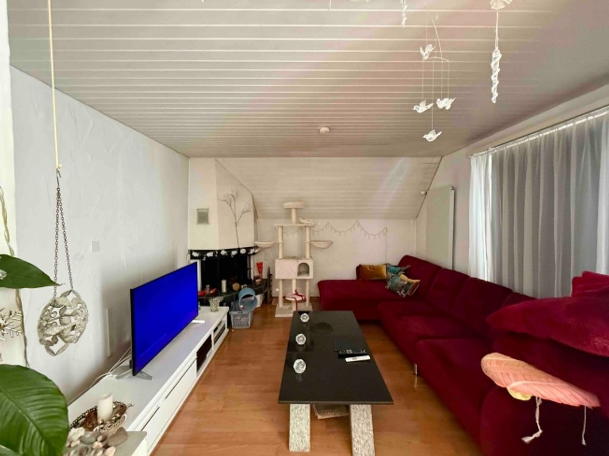 6.5-Zimmer-Haus mit Gewerbeanteil in Zuchwil kaufen - 6