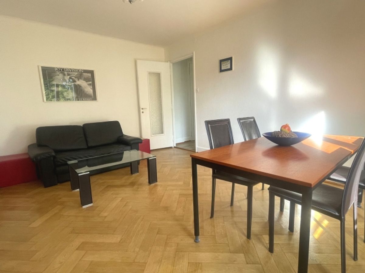 2.5-Zimmer-Wohnung möbliert 50 m2 – renoviert - 1