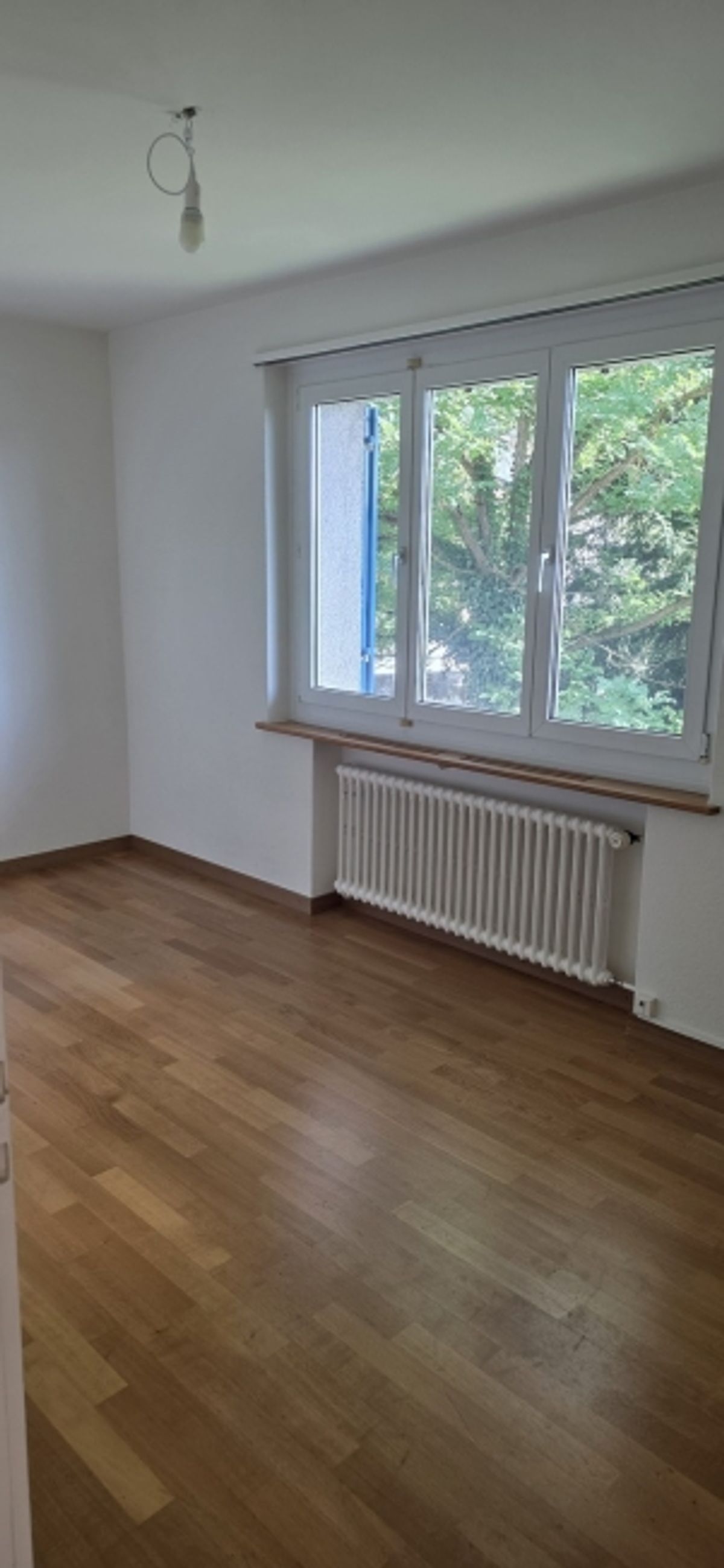 3 Zimmerwohnung EG - befristet bis 30.09.2027 - 4