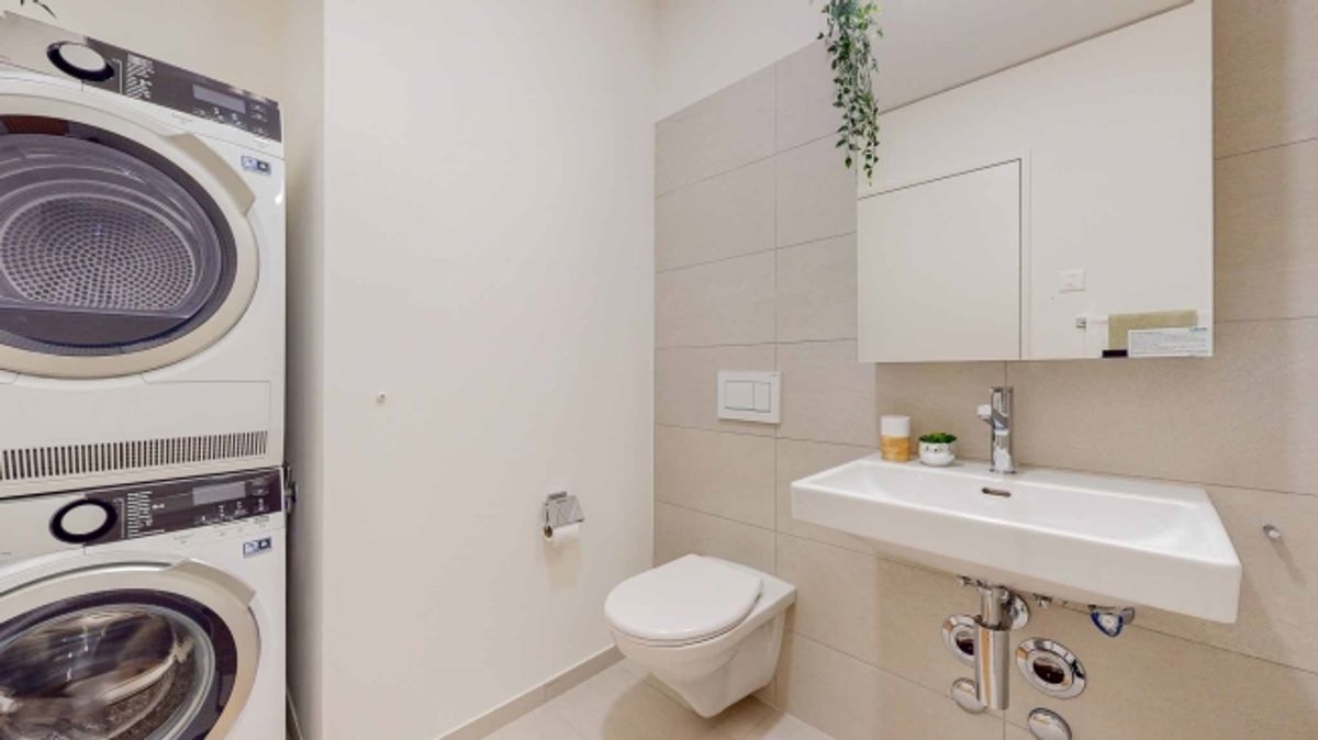 Modernes Wohnen im schönen Allschwil - 3