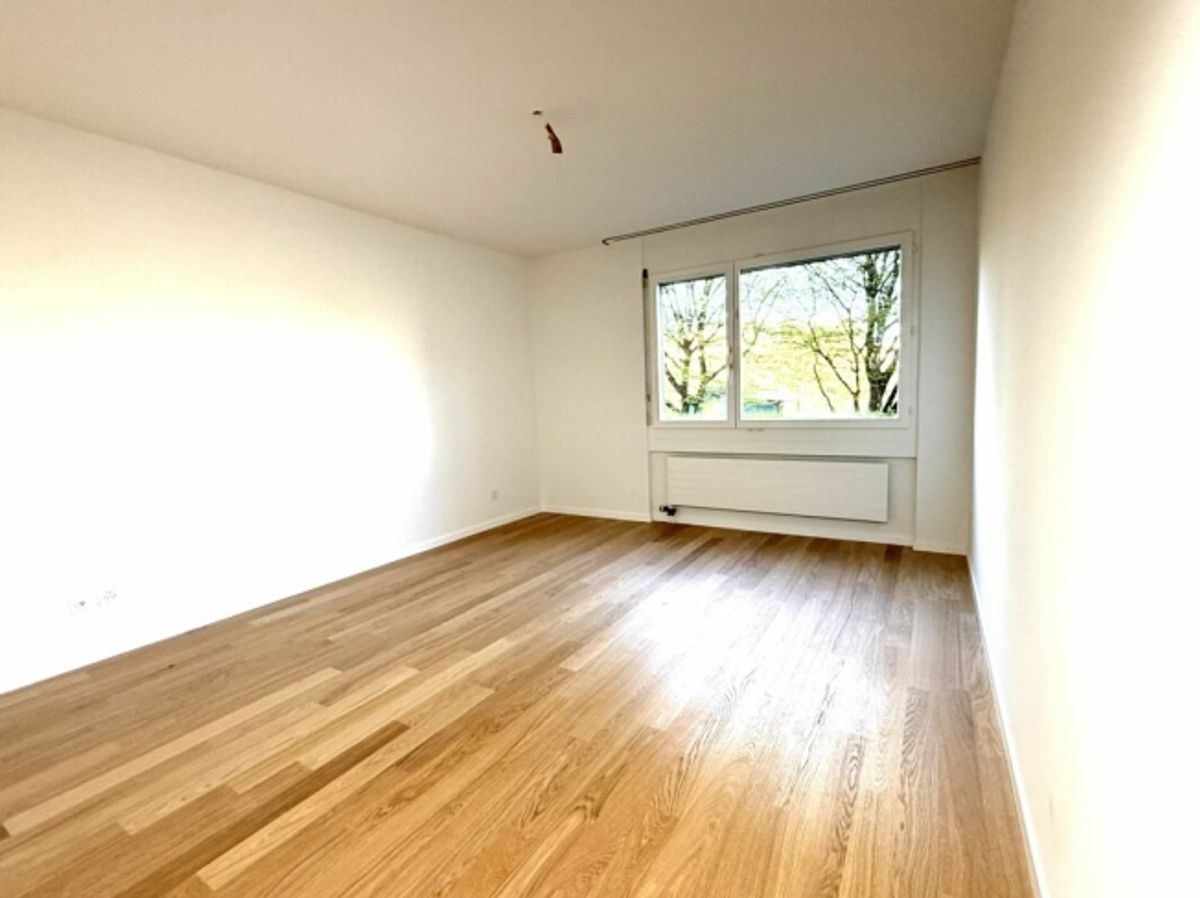 Frisch renovierte 4.5-Zimmer-Wohnung in Albisrieden - 1